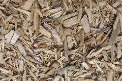 biomass boilers Longformacus